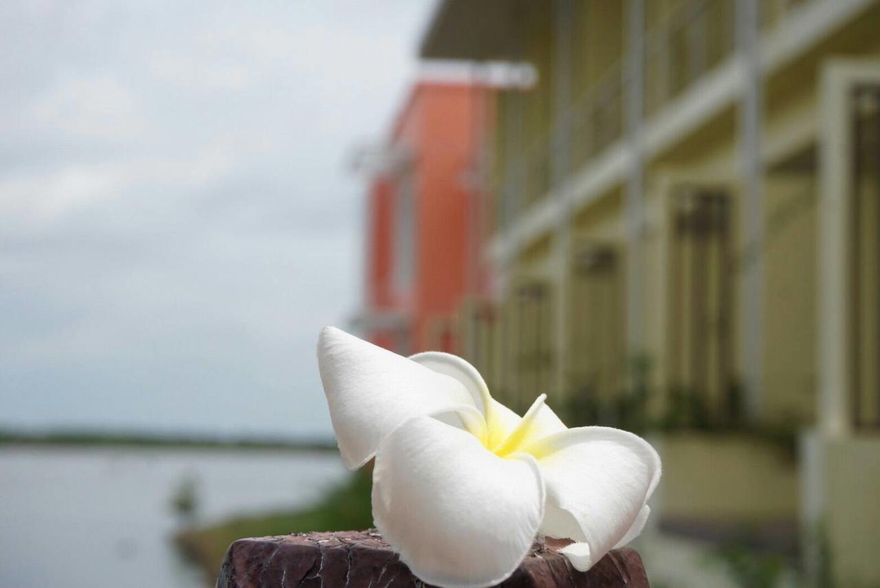 Baan Talay See Cream Resort Samut Songkhram Exteriör bild